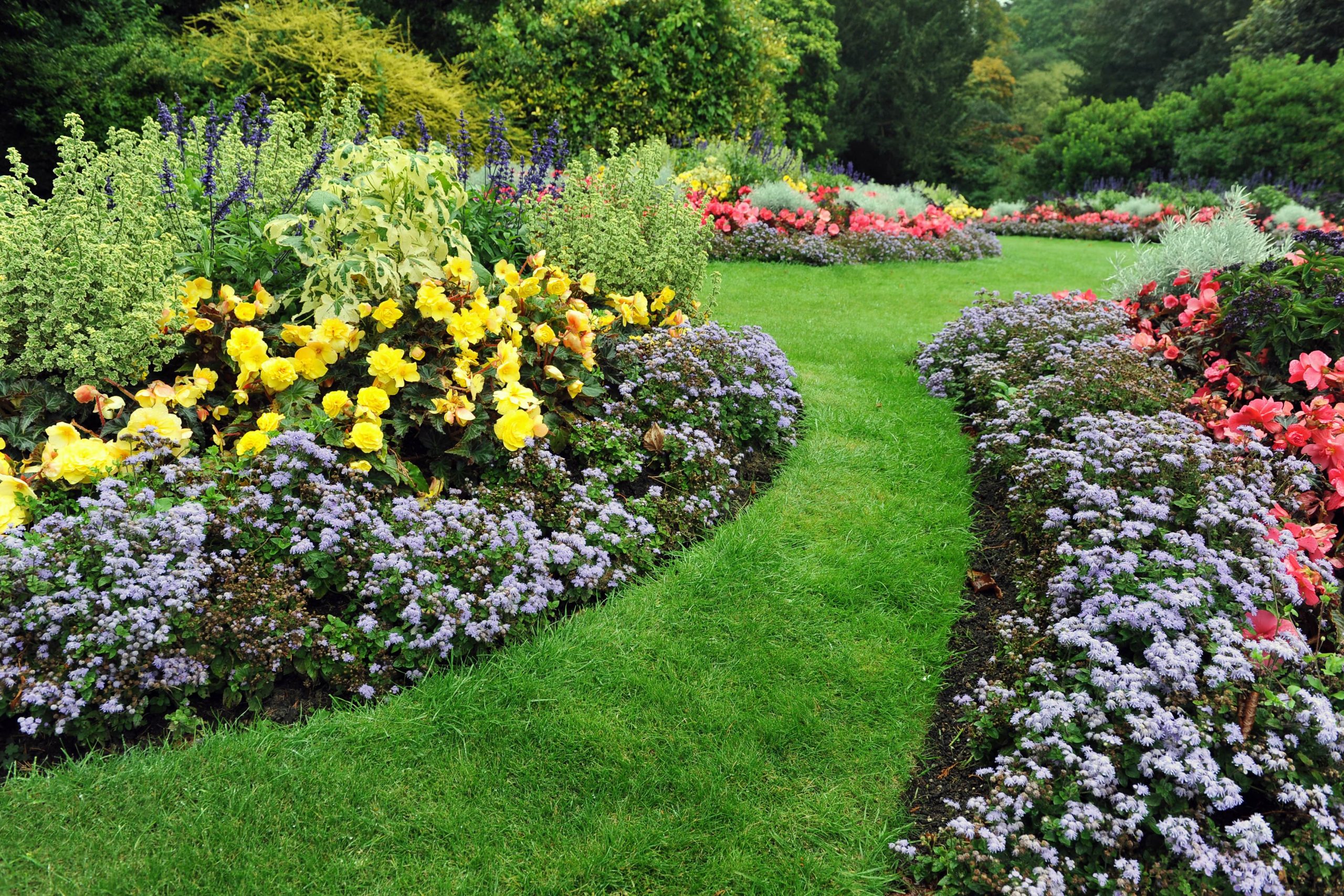 Royal Gardens Healthcare photo 8